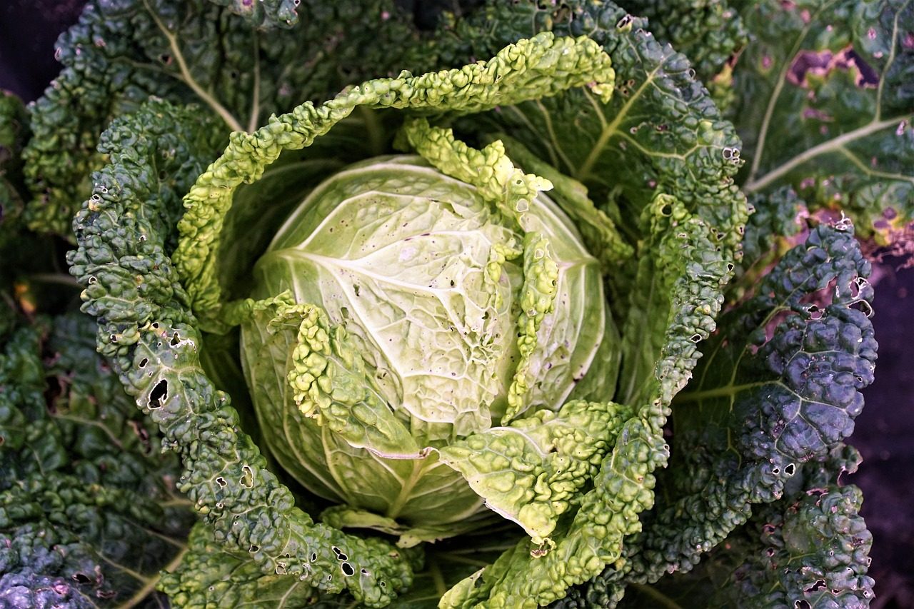Купа с киноа и свежи зеленчуци